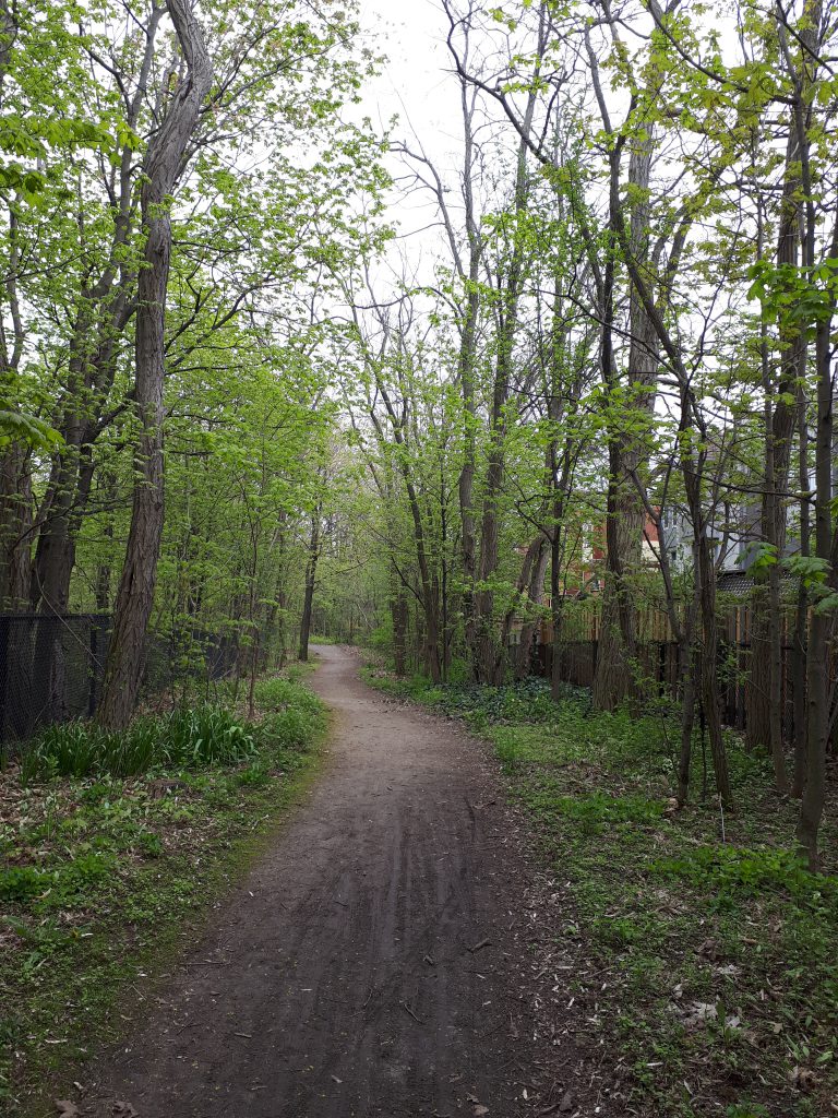 Cycling Snapshots Top 5 most photographable bike routes in Oakville