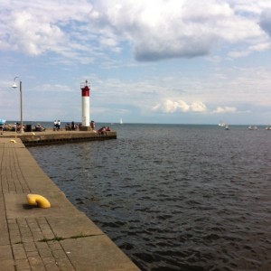 photo 2 (2)
