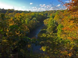 Wildwood Park