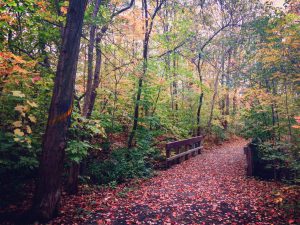 Bayshire Woods Park