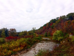 Lions Valley Park