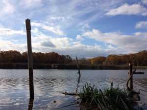 Bronte Creek Provincial Park