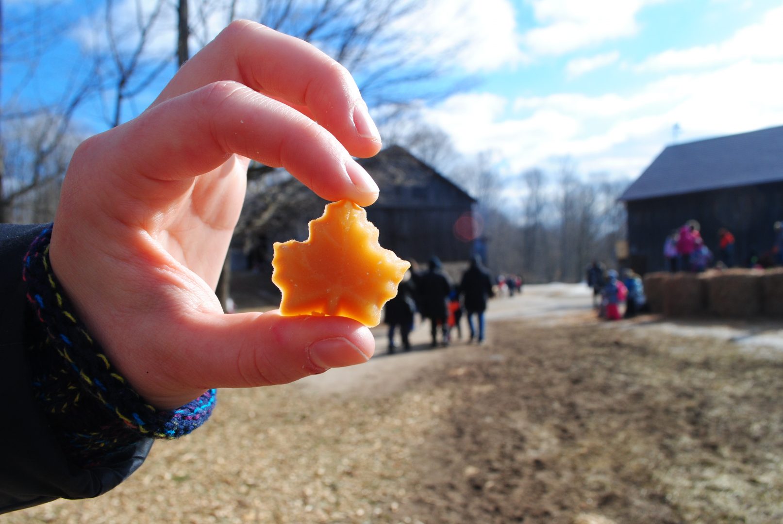 Maple Syrup Festival twoday itinerary Visit Oakville
