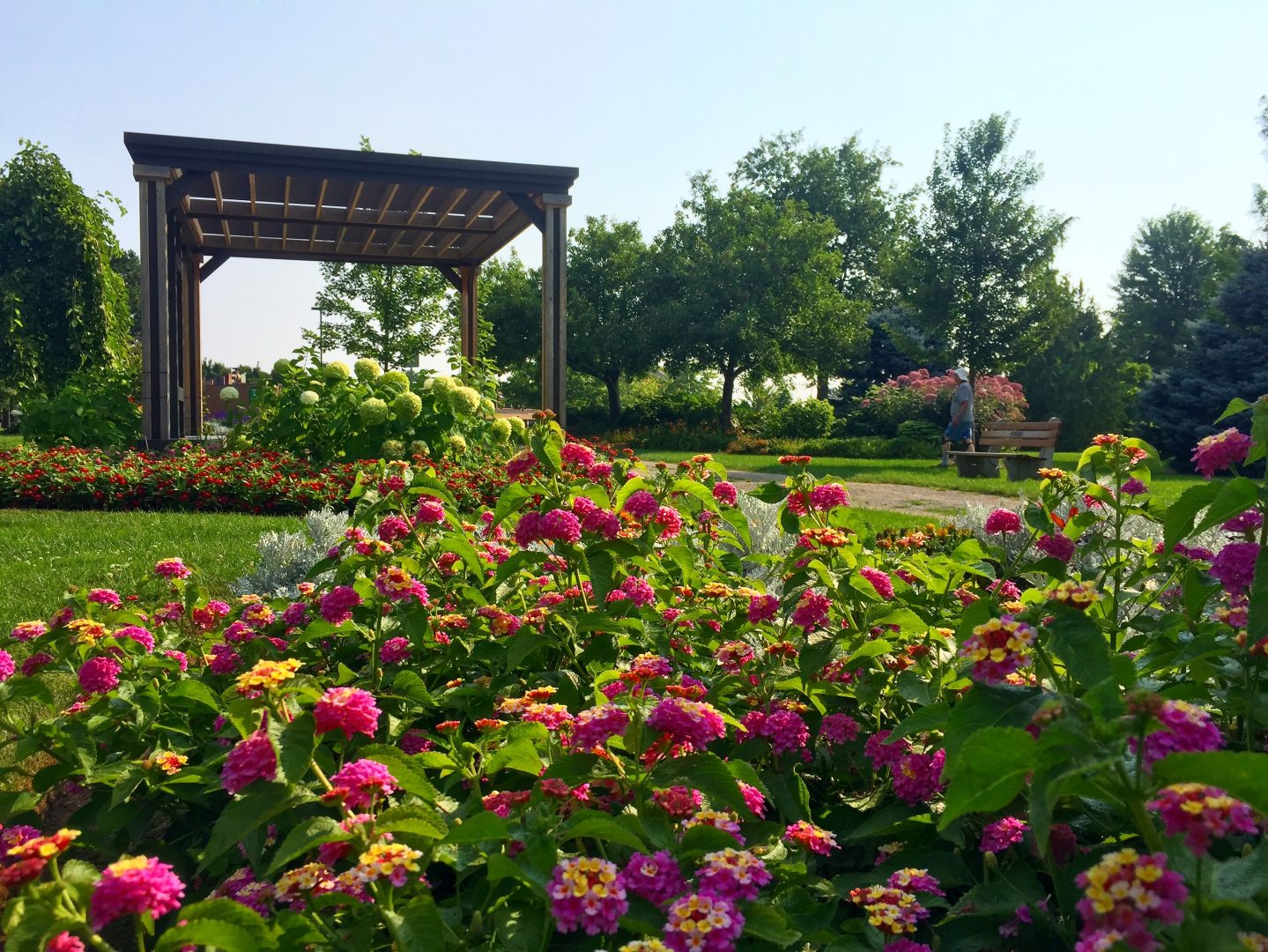 Floral Favourites Top 5 Oakville gardens Visit Oakville