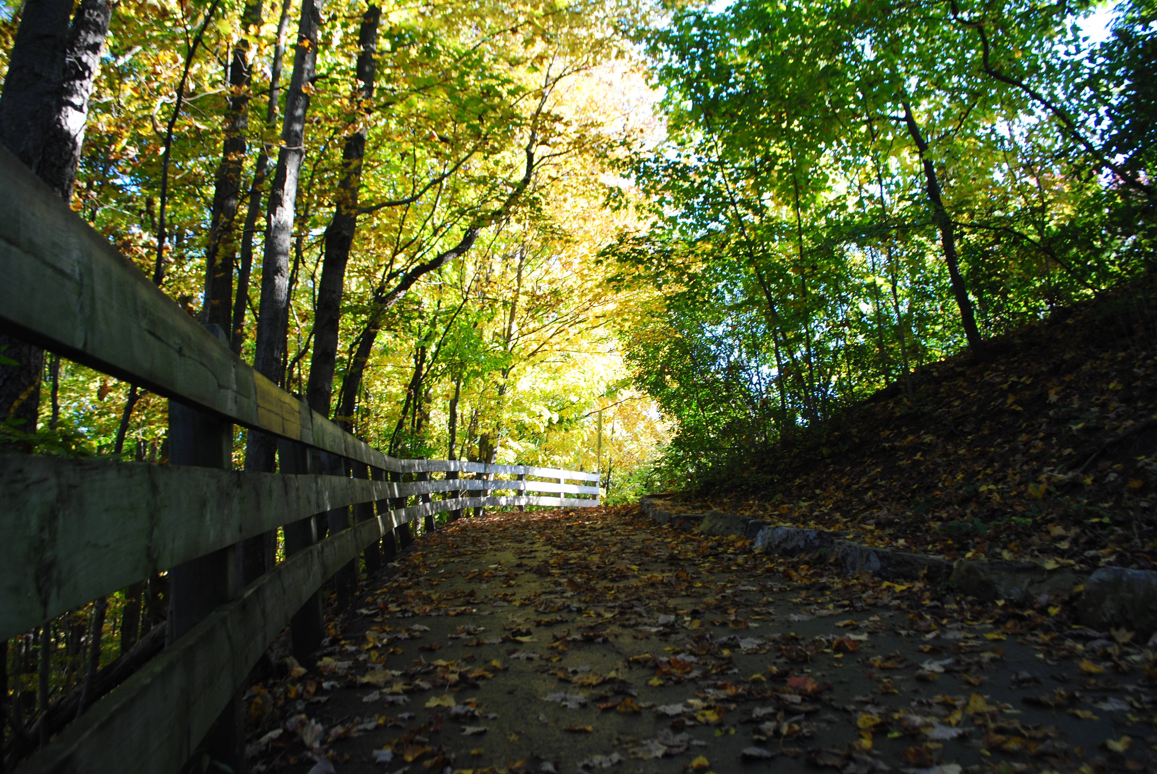 Sixteen Mile Creek Trail