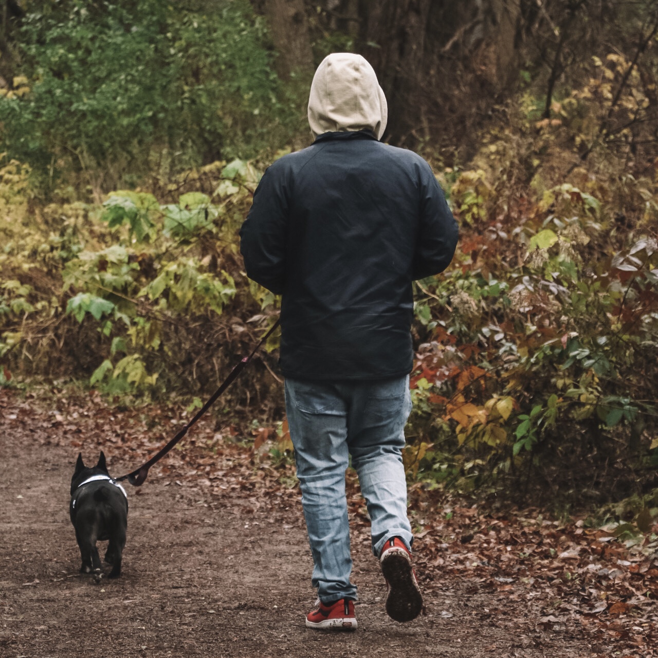 FeatureFriday Oakville’s dogfriendly parks and trails Visit Oakville