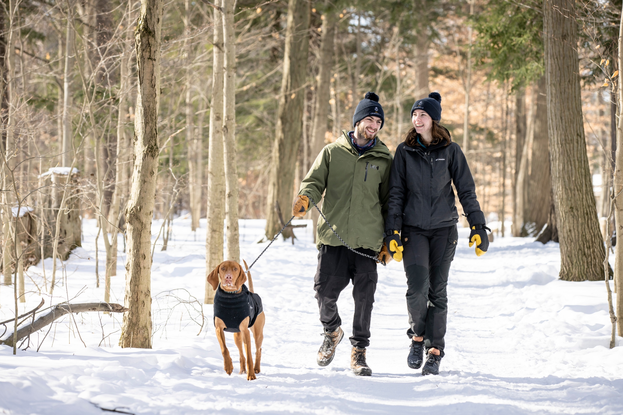First-Day Activity: Forest Therapy with Soul Nurturer