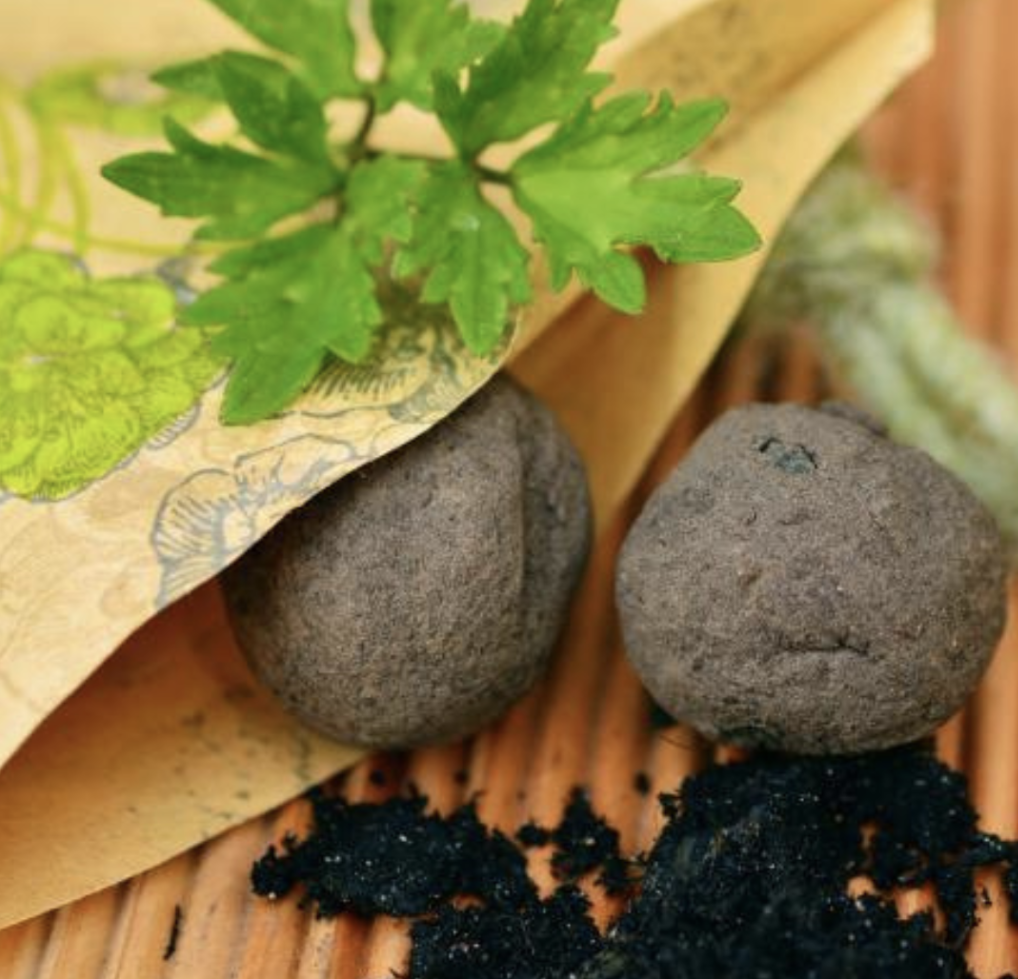 Welcoming the Monarch: Native Seedball Making Workshop
