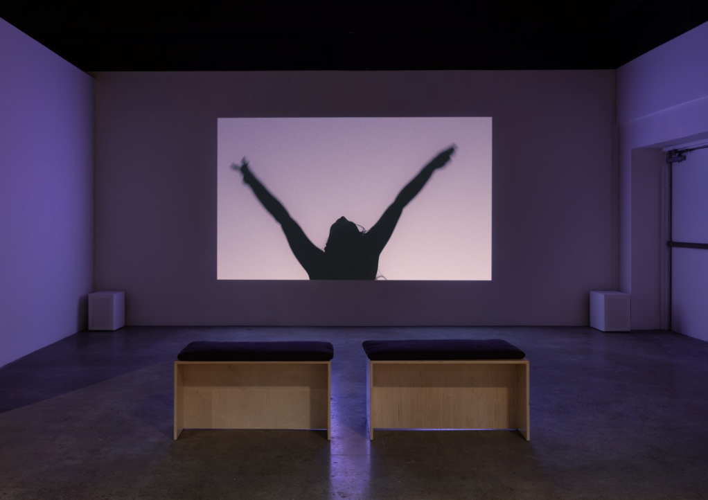 Lunchtime Exhibition Tour
