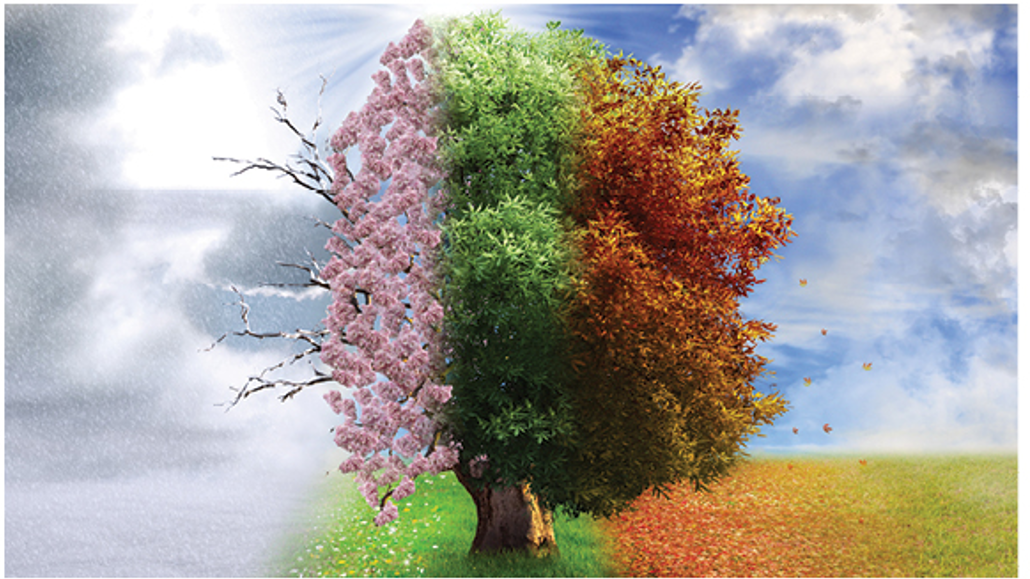 THE SEASONS by Joseph Haydn