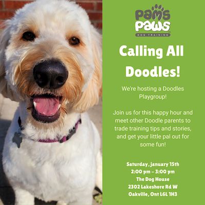 Doodles Play Group