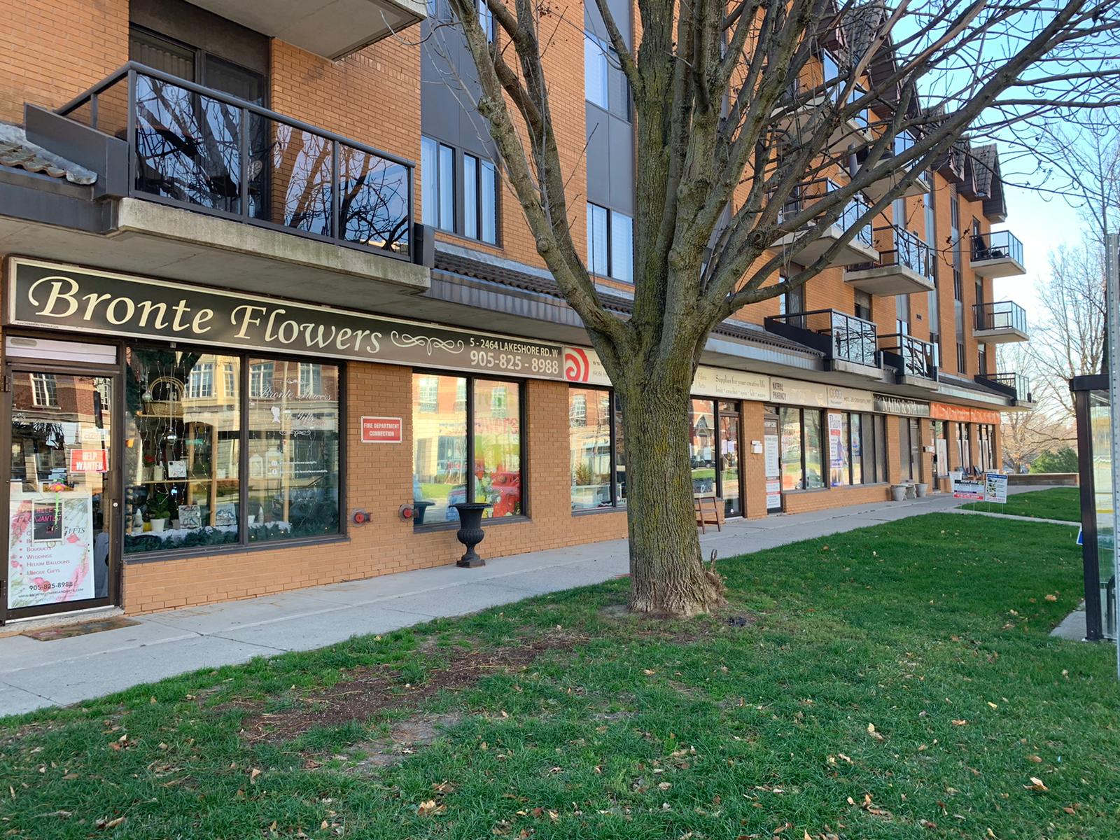 Discover the best shopping destinations in Oakville Visit Oakville