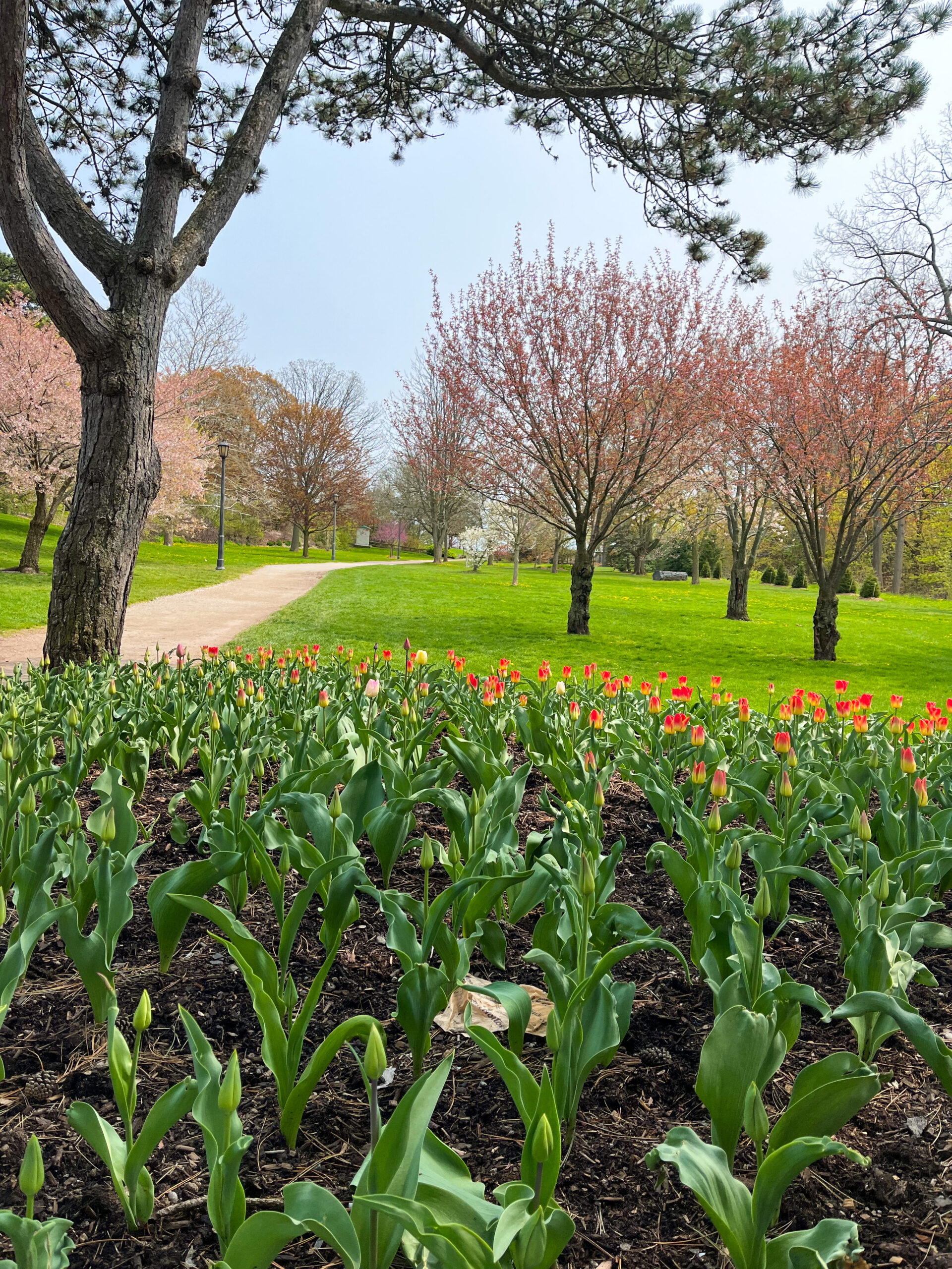 Explore Oakville's Art Scene This Summer Visit Oakville