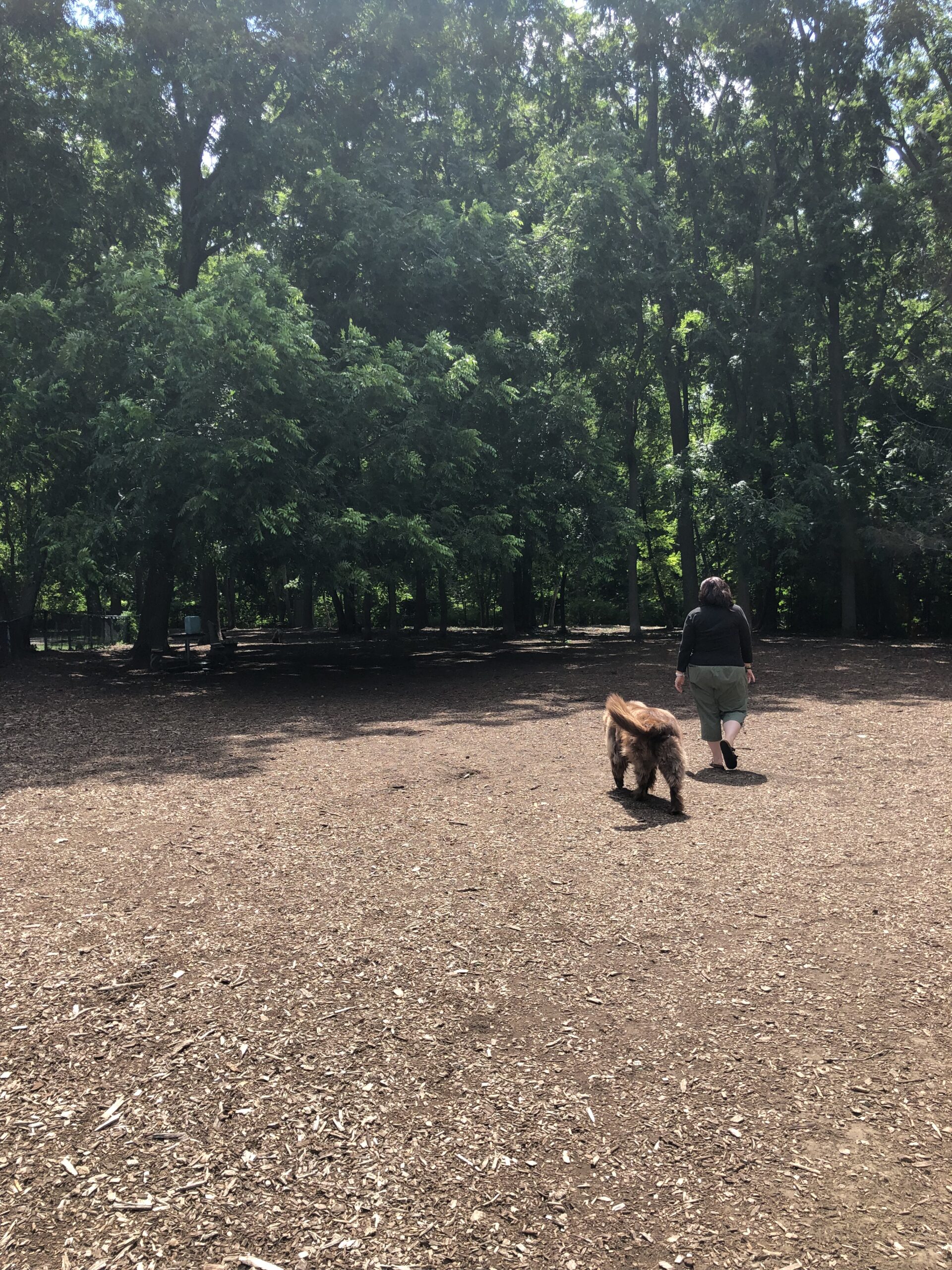OAKVILLE'S FOUR BEST OFFLEASH DOG PARKS Visit Oakville