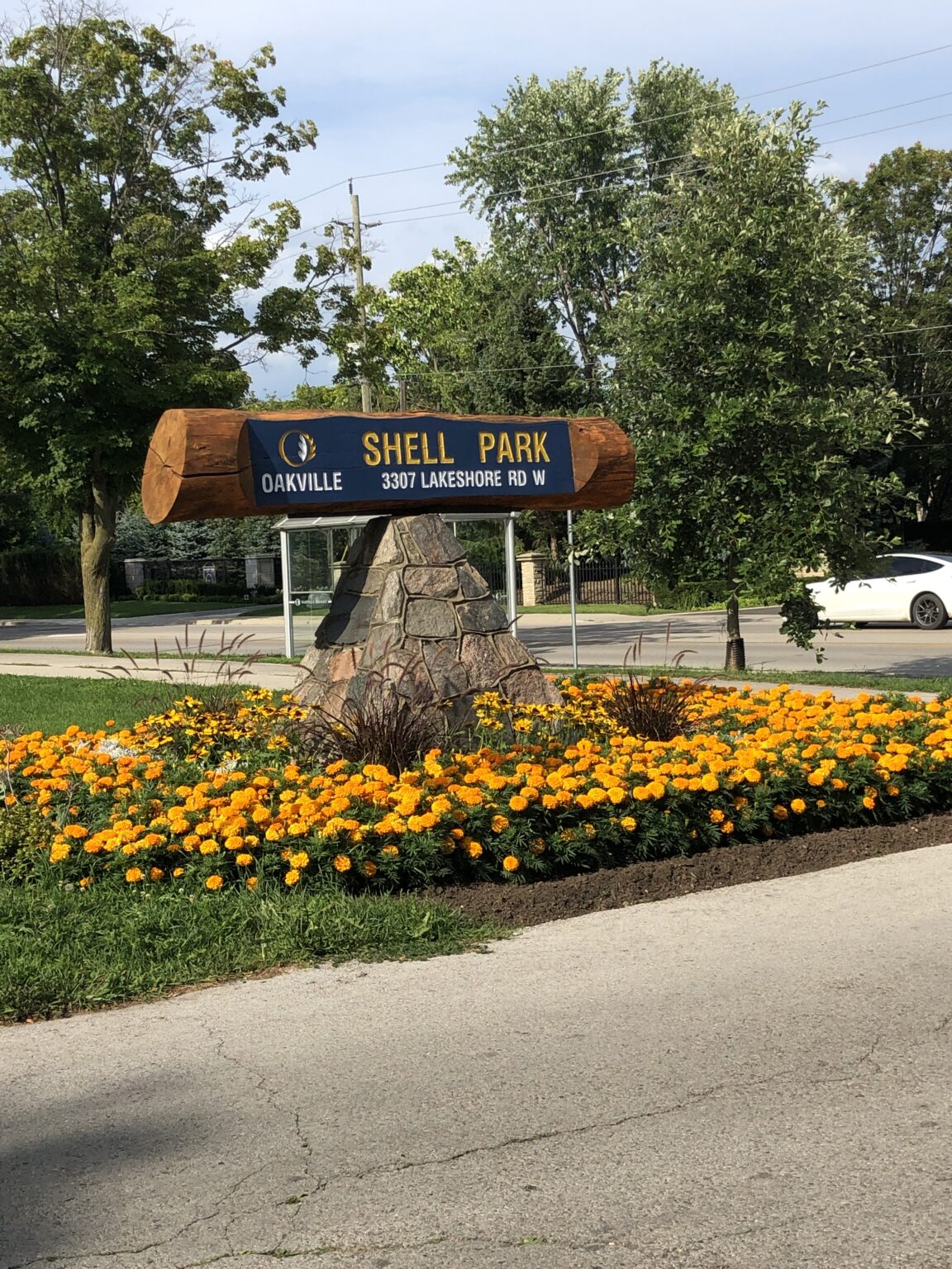 OAKVILLE'S FOUR BEST OFFLEASH DOG PARKS Visit Oakville