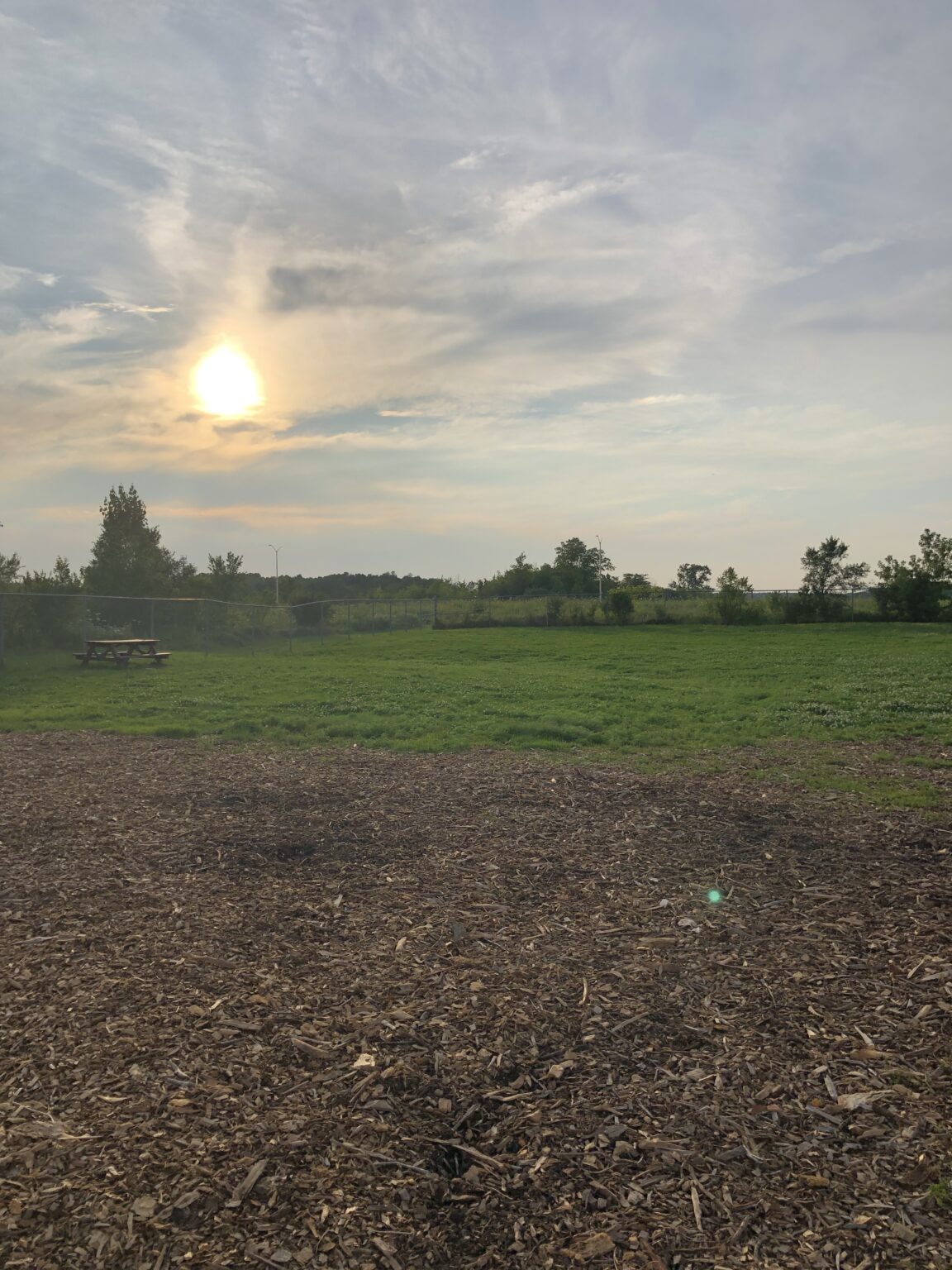 OAKVILLE'S FOUR BEST OFFLEASH DOG PARKS Visit Oakville