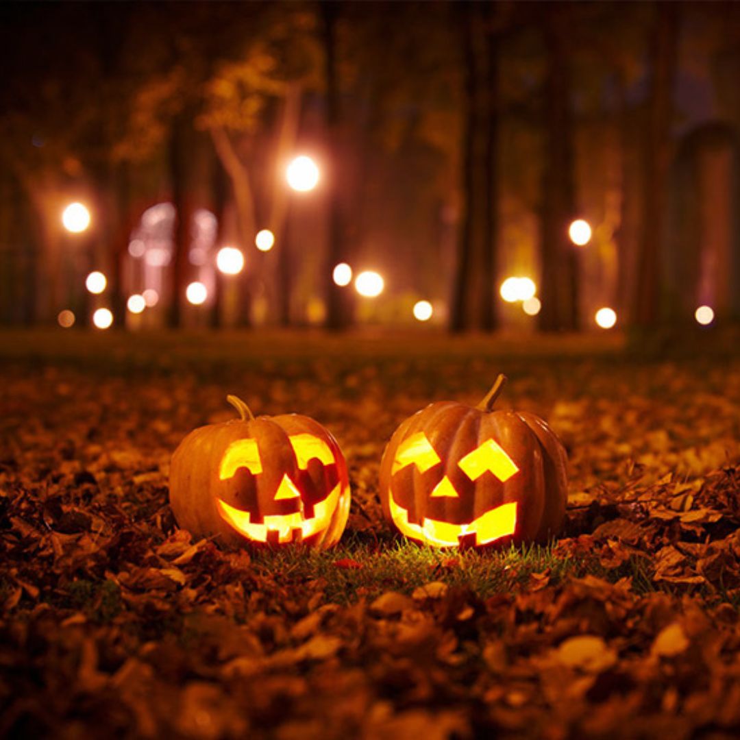 Halloween Craft and Tour