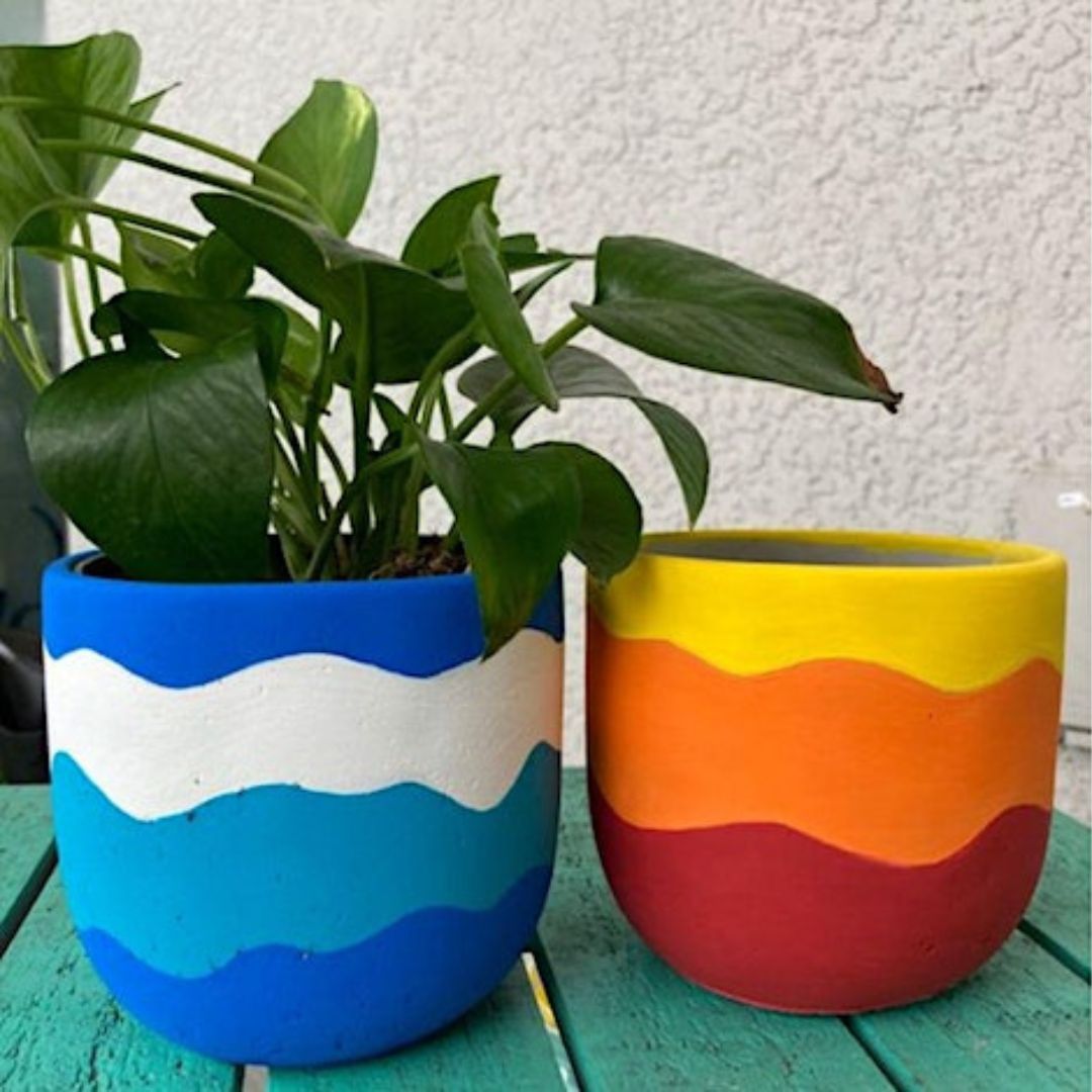 Paint and Plant Workshop