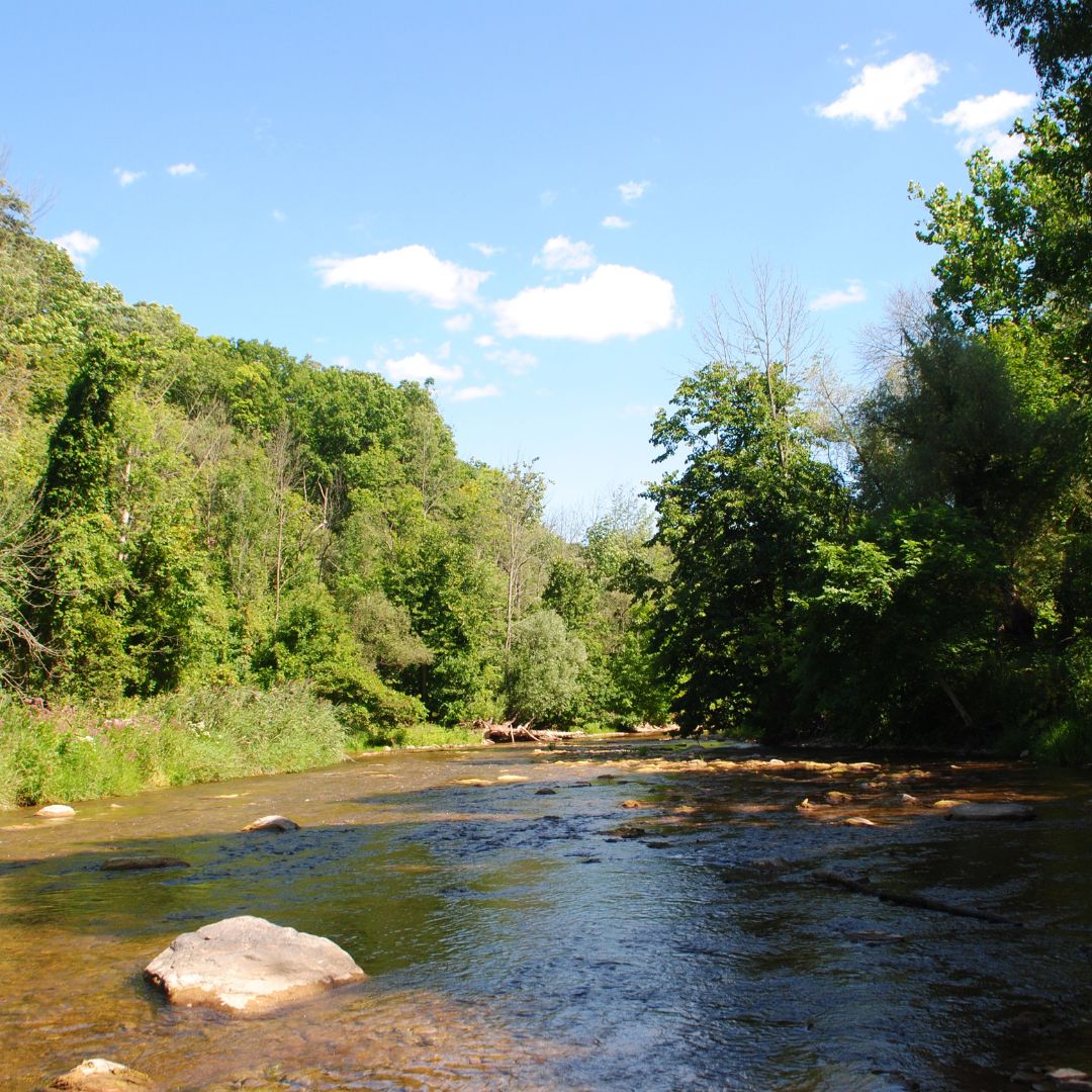 Earth Day Clean Up at Bronte Creek