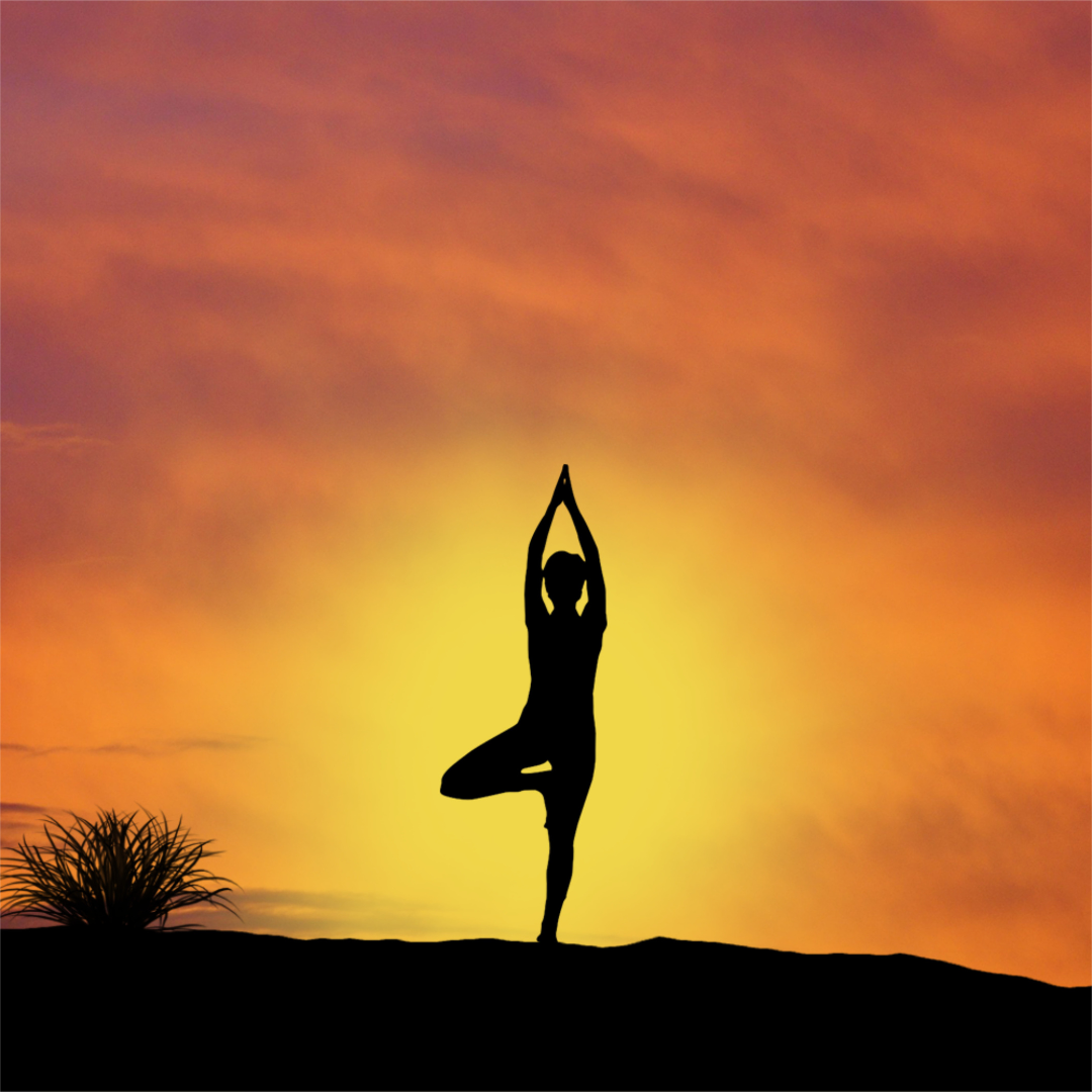 Wellness Week 2024
