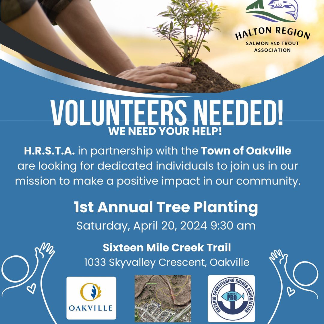 1st Annual HRSTA Tree Planting