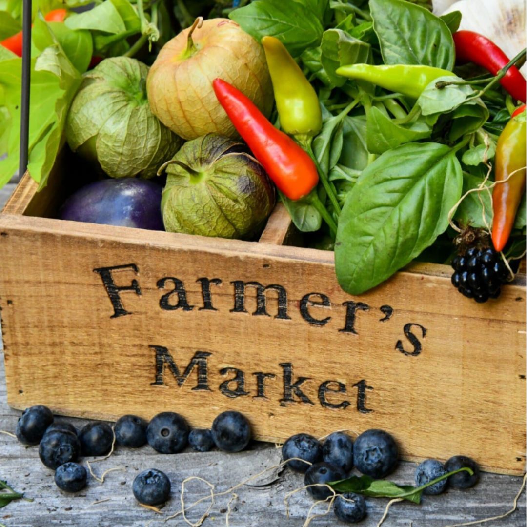 Civitan Farmer's Market Opening 2024