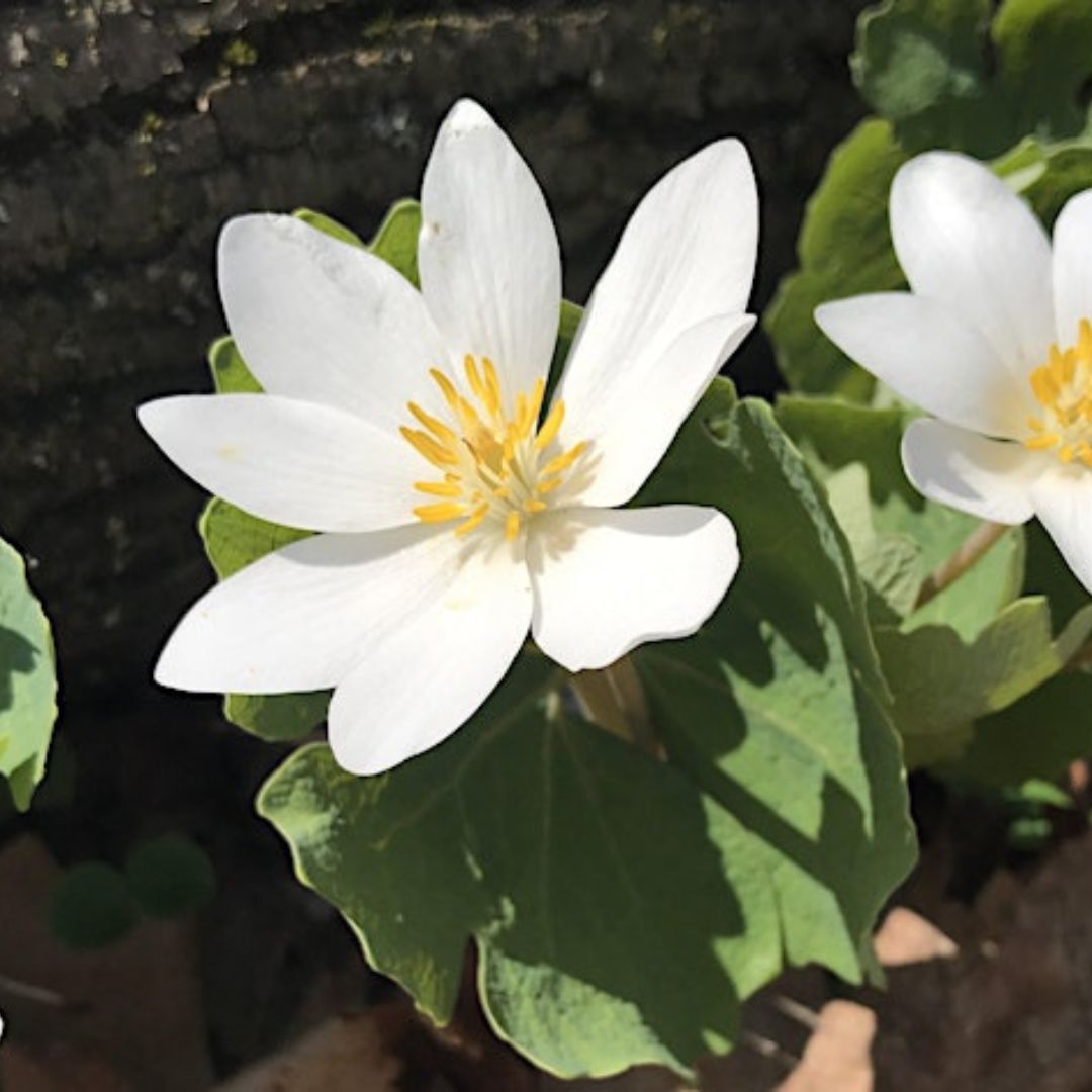 Photography Workshop at Bronte Creek