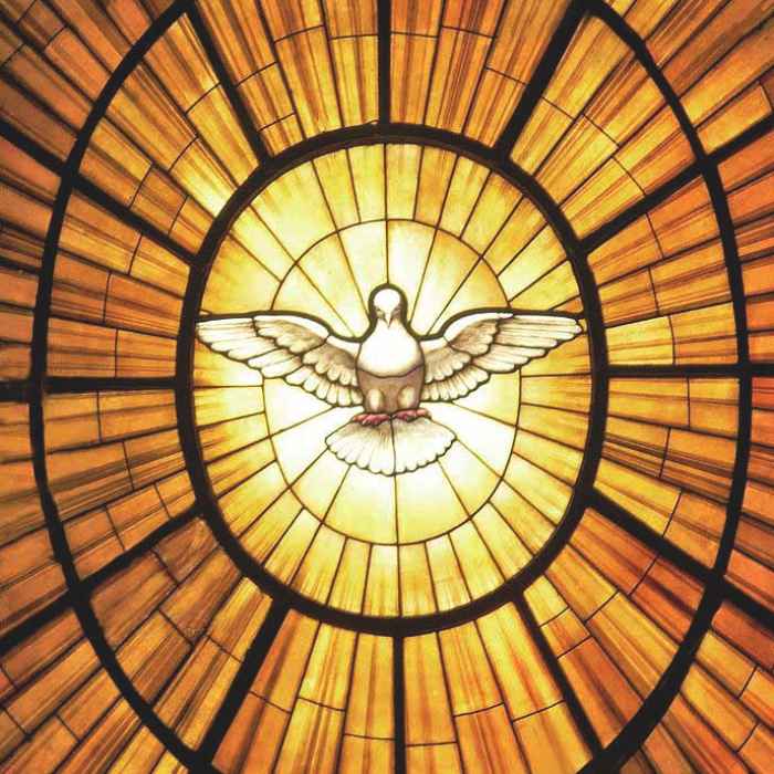 Oakville Chambers Orchestra | Darkness to Light