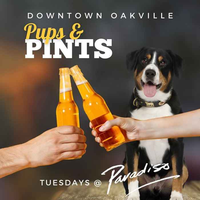 Pups & Pints
