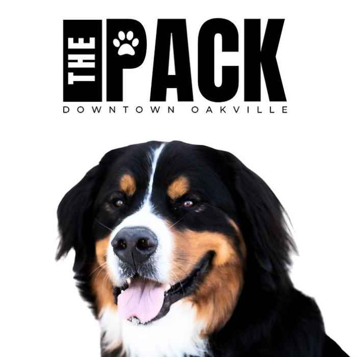 The Pack: Downtown Oakville's Dog Walking Club