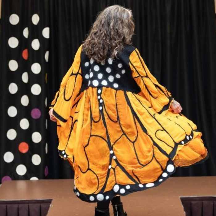 The Wearable Art Show - Culture Days