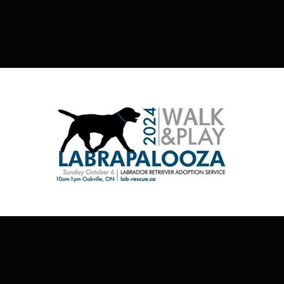 Labrapalooza