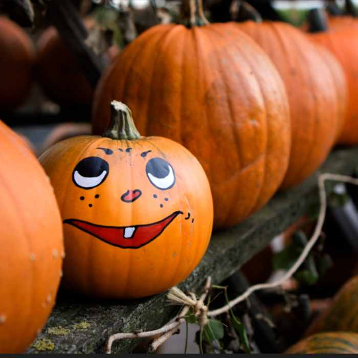Mattamy's Fall into Oakville Event!