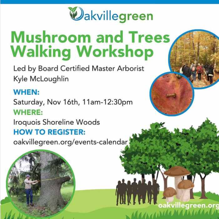 Mushroom and Trees Walking Workshop