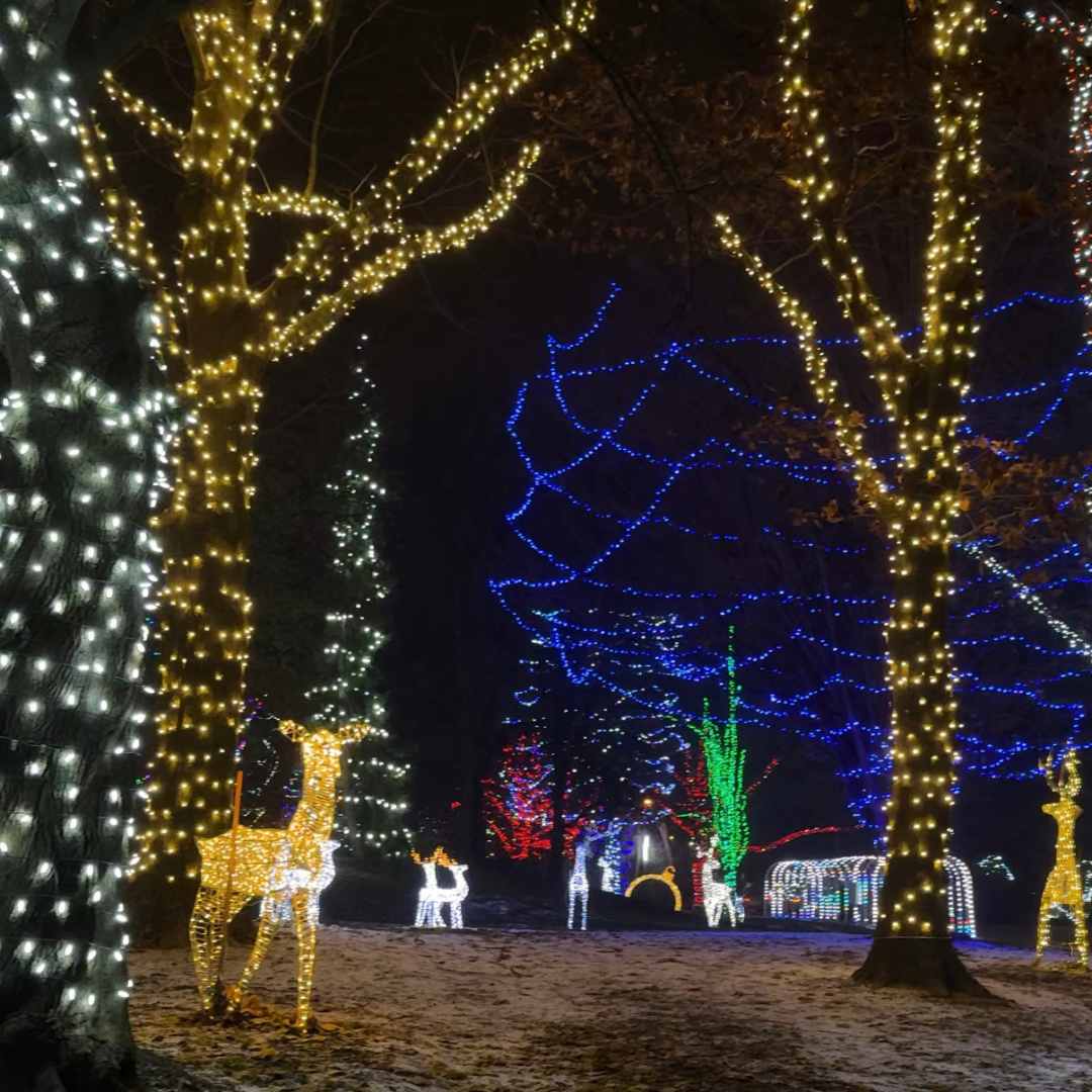 Holiday Lights by the Lake 2025