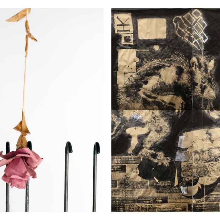 Oakville Galleries | Winter 2025 Exhibition Opening