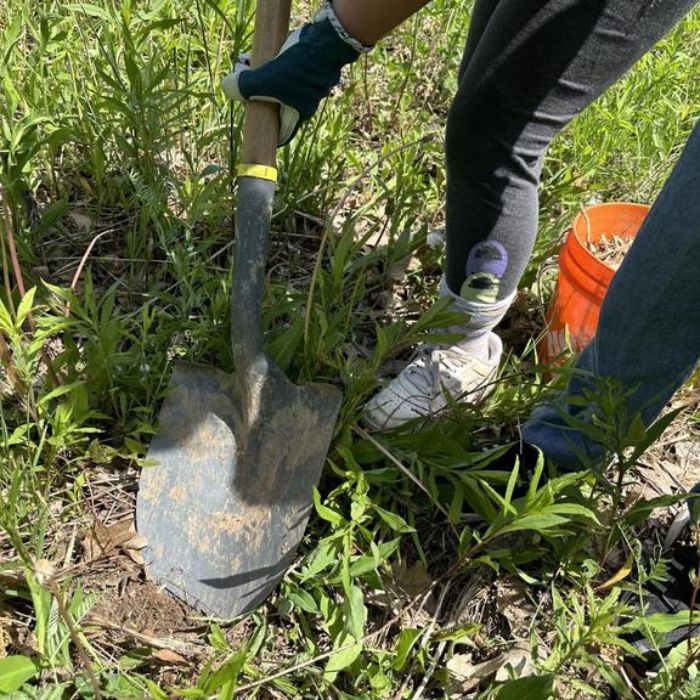 Earth Day Community Cleanup & Tree Planting