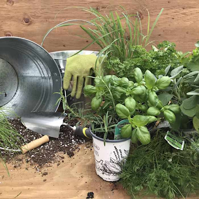Herb Planter Workshop
