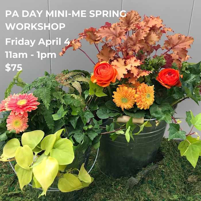 PA Day Mini-Me Spring Planter Set