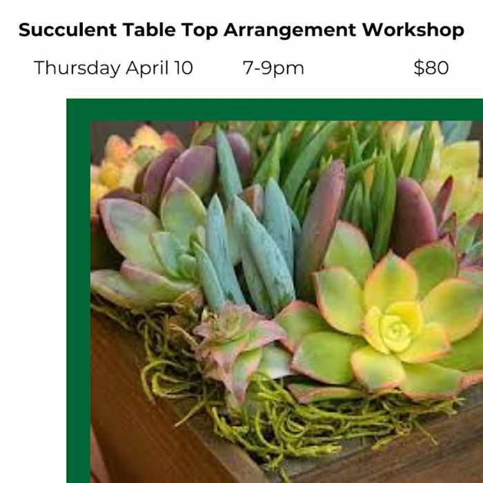 Succulent Table Top Arrangement Workshop