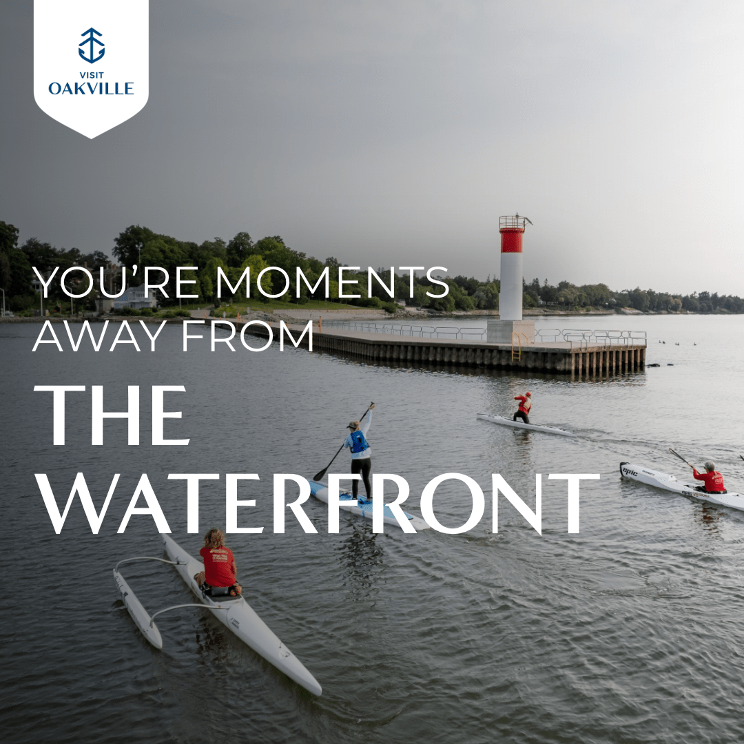 OWSY-The-Waterfront