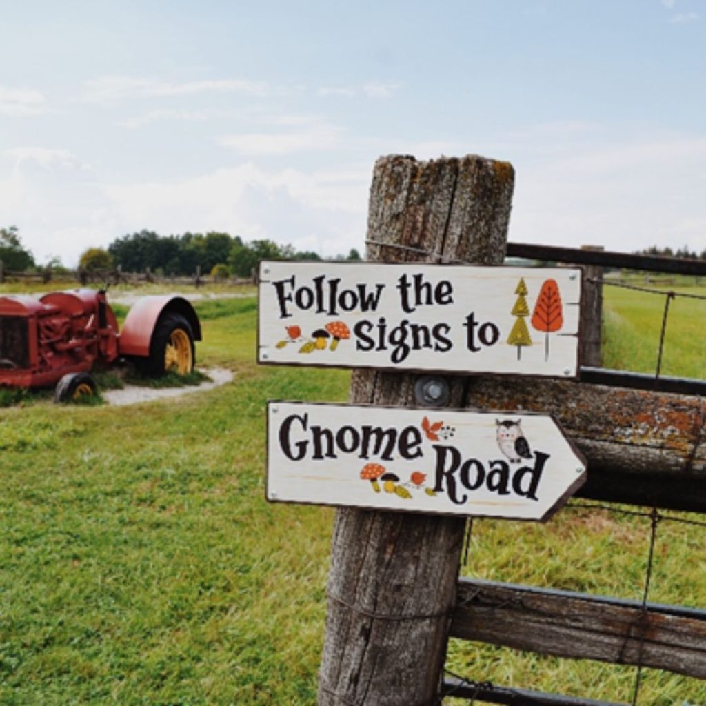 Family Fun in Oakville This Summer