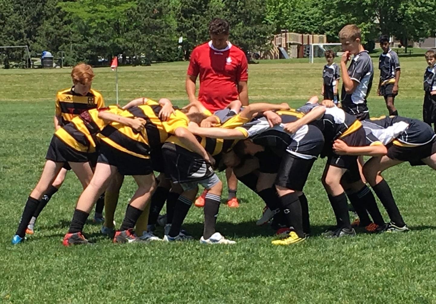 Crusaders Rugby Club