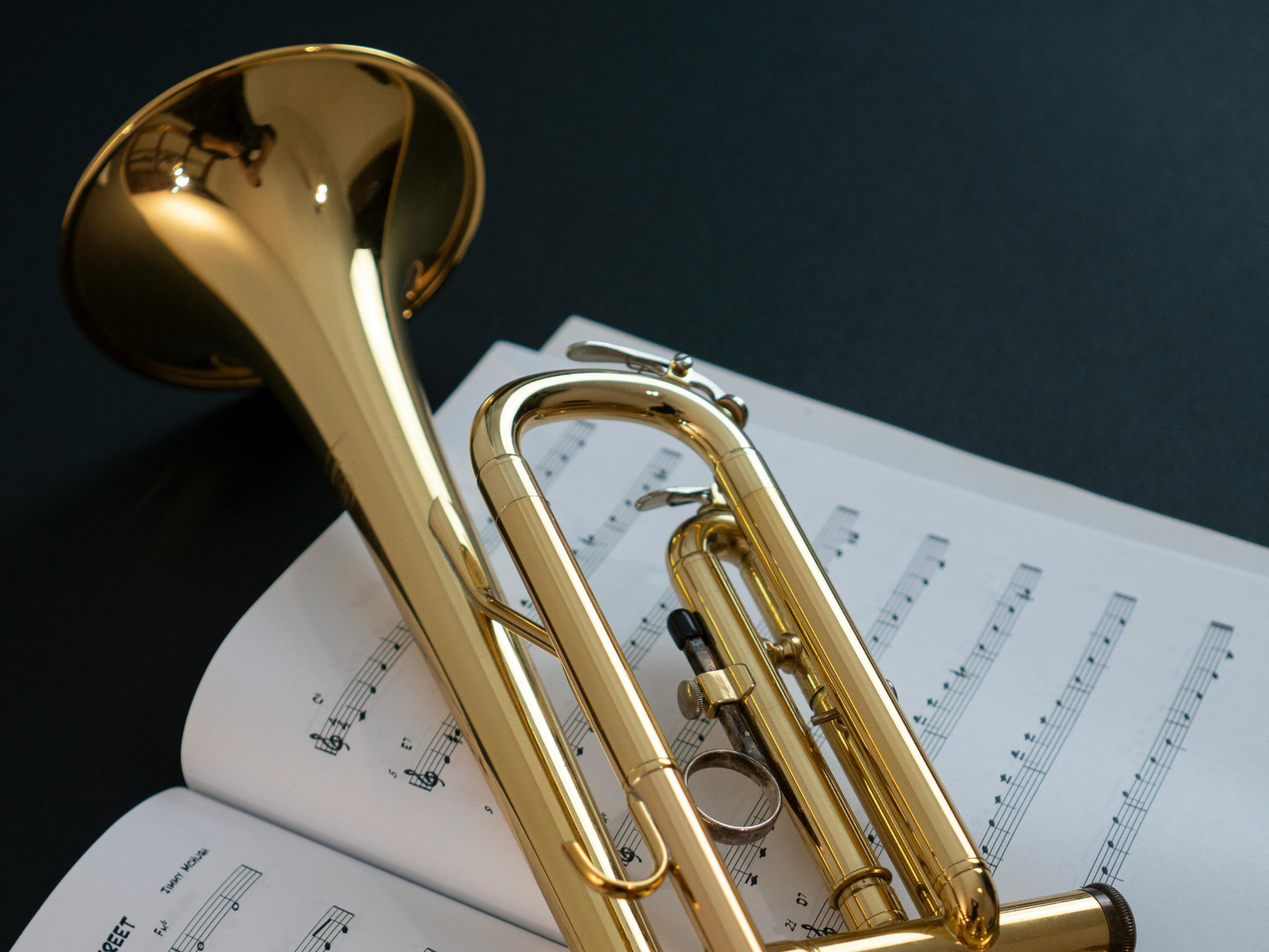 Meet the Musician, Trumpet!