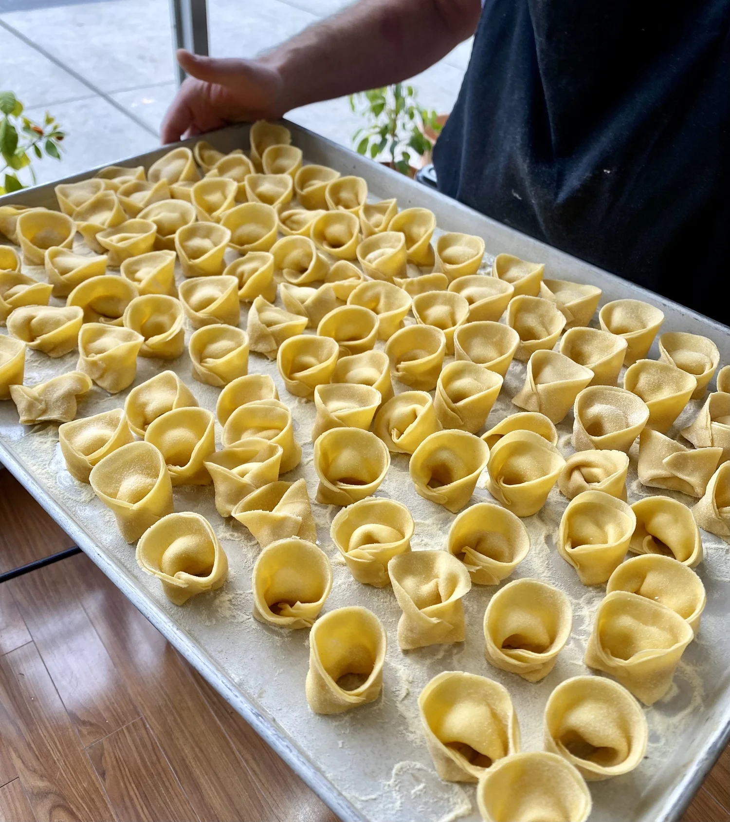 Pasta Making with Chef Enzo Campisi