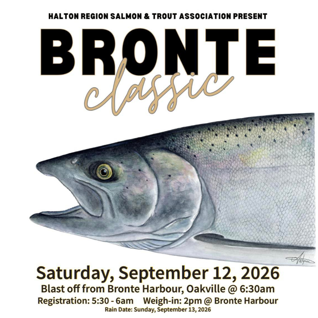 Bronte Classic