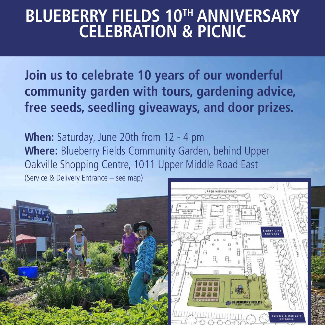 Blueberry Fields 10th Anniversary Celebration & Picnic