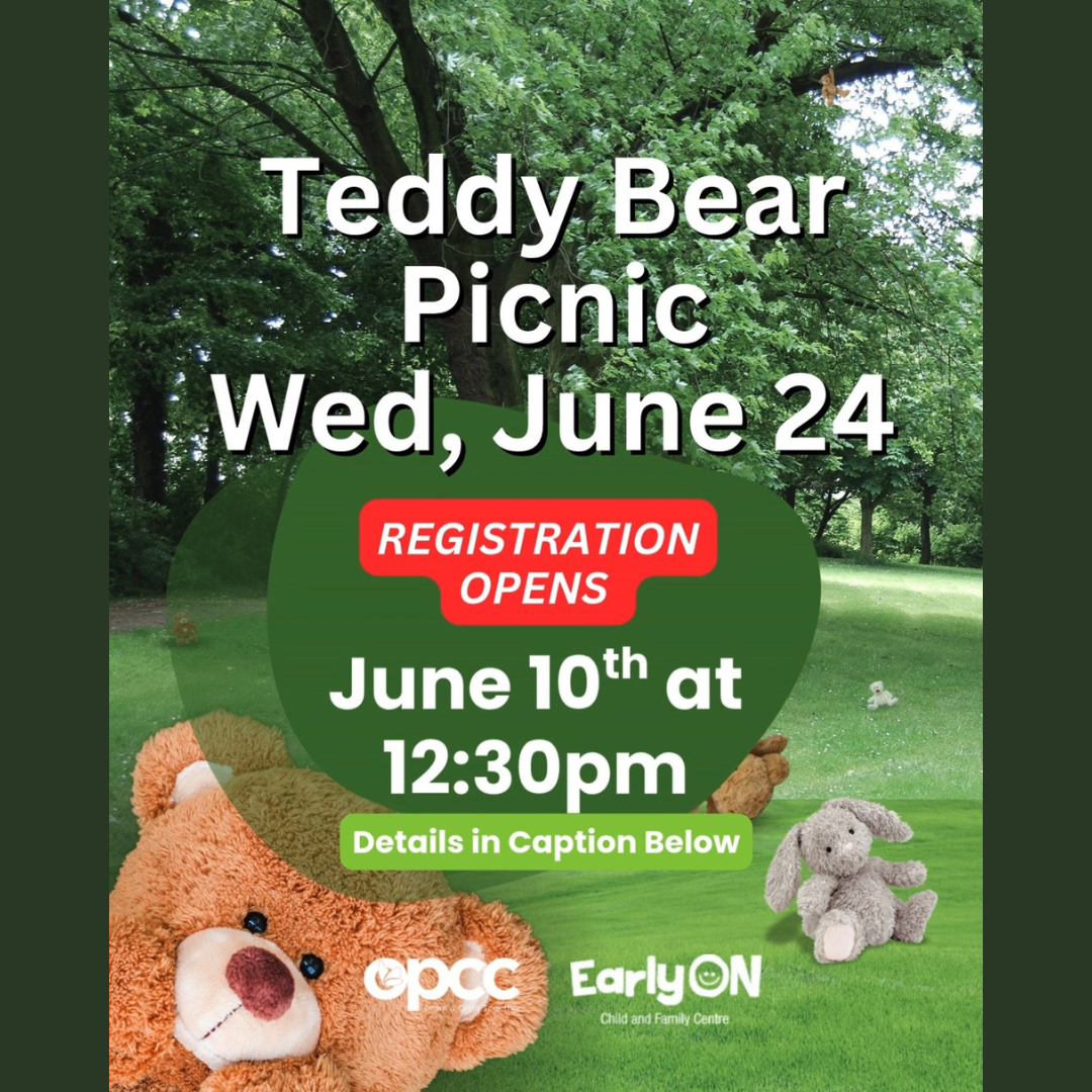 Teddy Bear Picnic
